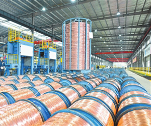 “循環(huán)發(fā)展”/